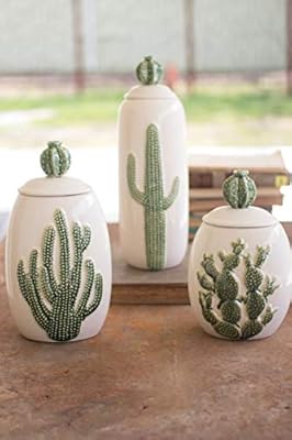 Amazon Com Set Of Three Ceramic Cactus Canisters Home Kitchen