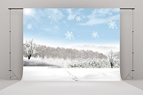10X6.5ft (300cmX200cm)Christmas Photography Backgrounds Winter Snow Nature Backdrops Snowflake Blue Sky Forest Child Birthday Photo Backdrop