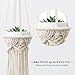 Mkono 2 Pack Mini Macrame Air Plant Holder Boho Tillandsia Hanger Modern Hanging Indoor Planter Home Deocor for Small Plants, Wall Decorations, Prefect Gifts