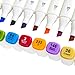 FabuColor - Alcohol Based Markers - Brush & Chisel Tip Art Set with Case - 12 Assorted Colors - Blendable Refillable Ink - Replaceable Nibs - Dual Sketch Broad or Fineline - Double Ended Permanent