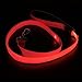 Illumifun LED Dog Leash, USB Rechargeable Light Up Dog Lead, 47.2inch Nylon Glowing Pet Leash for Your Night Dog Walking (RedⅠ)