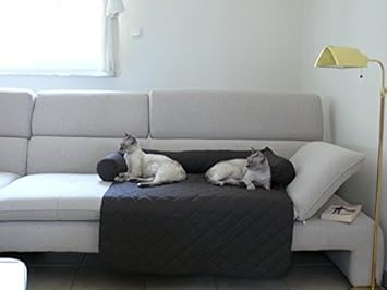 Leos Protection De Canape Pour Chiens De Tailles S A Xl Amazon