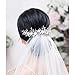Catery Flower Bride Wedding Headband Silver Crystal Pearl Rhinestone Hair Vine Braid Babys Breath Headpieces Bridal Hair Accessories for Women