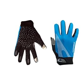 Mototrance Touch Recognition Full Finger All Season Outdoor Gloves Large Size (Blue)