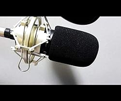 2PCS NT1-A NTK Microphone Pop Filter Mic Foam