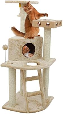 my dog barks at everything