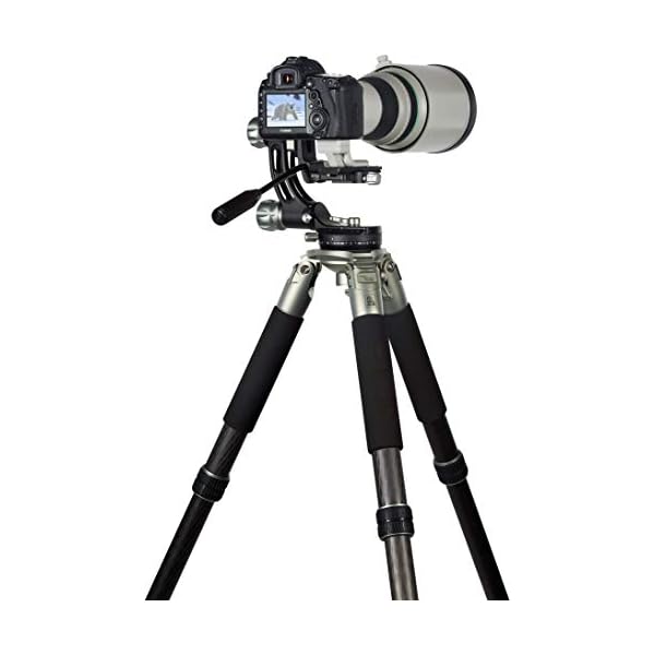 Rollei Lion Rock Gimbal – Carbon Stativ mit 30 kg Tragkraft, ideal für Astro – Vogel – und Sport-Fotografie,für…