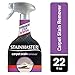 STAINMASTER Carpet Stain Remover Cleaner, 22 Fl Oz