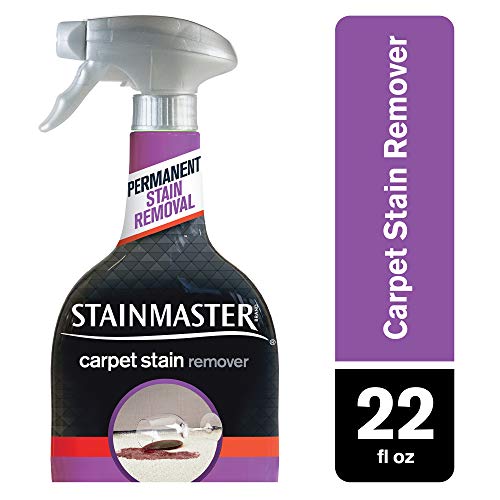 STAINMASTER Carpet Stain Remover Cleaner, 22 Fl Oz
