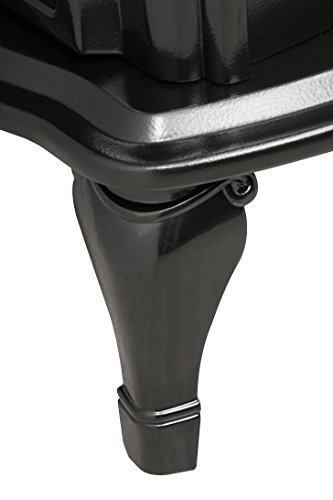 Dimplex TDS8515TB Celeste Electric Stove, Glossy Black - Thumbnail 4