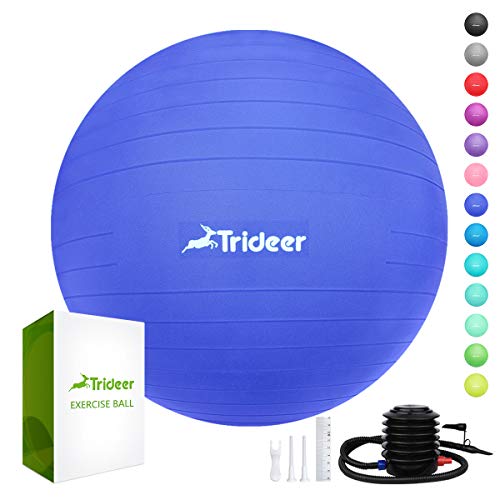 Trideer Exercise Ball (45-85cm) Extra Thick Yoga Ball Chair, Anti-Burst Heavy Duty Stability Ball Supports 2200lbs, Birthing Ball with Quick Pump (Office & Home & Gym) (Best Anti Burst Stability Ball)