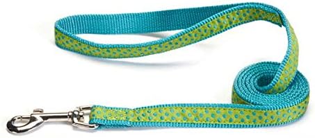 East Side Collection Nylon Polka Dot Dog Leash