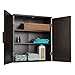 Teamson Home Catalina Removable Wooden Wall Cabinet with 2 Doors, Espresso