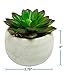 Houseables Artificial Succulent Plants, Fake Plant, 6 Pack, 4.25