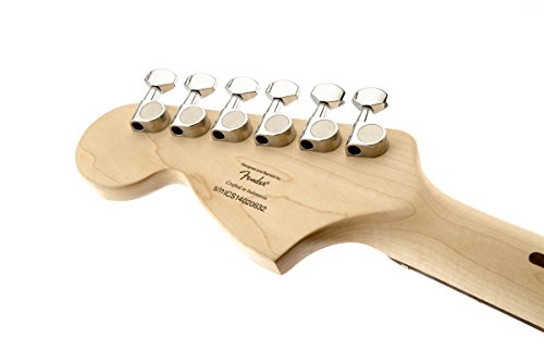 5 Fender+Standard+Stratocaster+Beginner+Electric