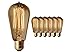 Moonrock & Co. Vintage Edison Light Bulbs - 60W Old Fashion Squirrel Cage Filament - 120 Volts - 230 Lumens - ST58 Teardrop - Dimmable Antique Amber Lighting - Warranty Included