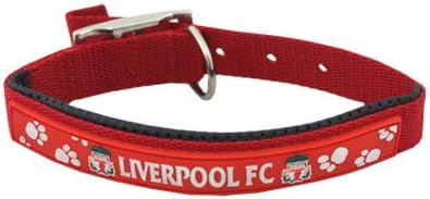 are roses poisonous to dogs