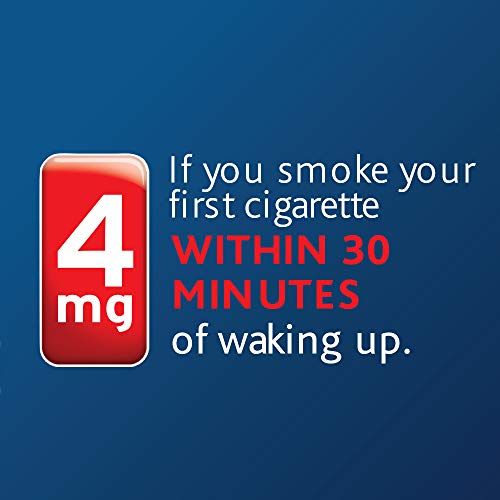 2 Nicorette+Nicotine+Smoking+Fruit+Chill