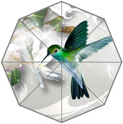 Fashionable Design Girls High Quality Unbrella Humming Bird Pattern 100% Fabric And Aluminium Auto Foldable Umbrella