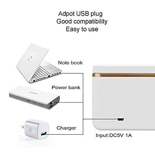 Rosa Rugosa Portable UV Light Plus Ozone Sterilization Box - Hygienic Locking Sexy Toy Storage Box