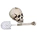Design Toscano Bathroom Skullduggery Toilet Bowl Brush