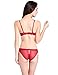 Bluewhalebaby Women's Fine Fabric Sexy Lingerie Push up Lace Bra & Panty Set (Suspender Garter Belt and Stockings Optional)