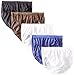 Hanes Women's Nylon Hi Cut Panty (Pack of 5)
