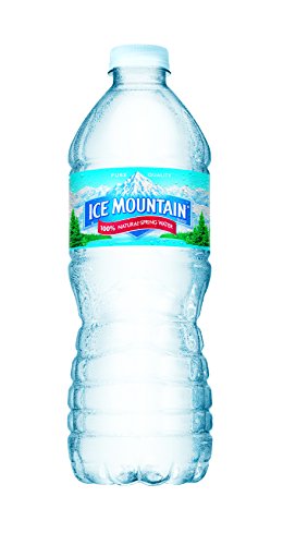 ICE MOUNTAIN NATURAL SPRING WATER, 16.89 FL OZ