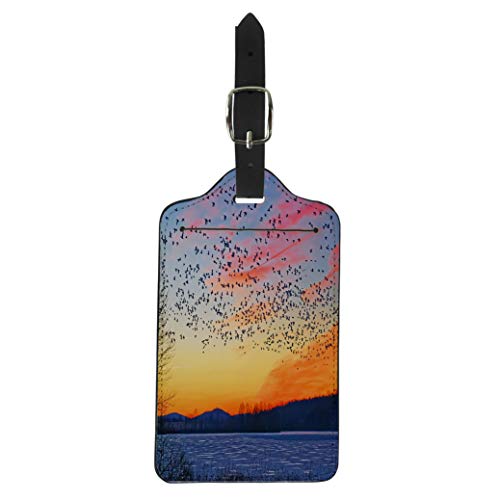 Semtomn Luggage Tag Thousands of Migrating Snow Geese Chen Caerulescens Fly Over Frozen Lake at Sunrise Suitcase Baggage Label Travel Tag Labels