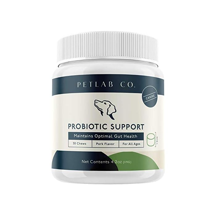 Petlab Co. Dog Probiotic Chewable Probiotic with 8 Strains of Beneficial Bacteria Digestive