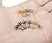 FIBO STEEL 5 Pcs Stainless Steel Round Ball Stud Earrings for Men Women,2MM