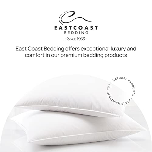East Coast Bedding Elite European Down Dream Pillow, King, Queen