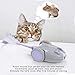 DADYPET Interactive Robotic Cat Toy, Mouse Shape Automatic Irregular Moving USB Rechargeable Electronic Toy with 5 Replacement Feathers for Kitten, All Floors Available