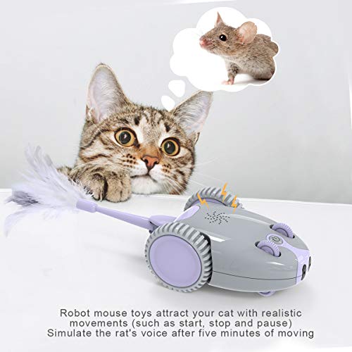 DADYPET Interactive Robotic Cat Toy, Mouse Shape Automatic Irregular