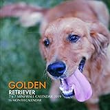 Golden Retriever 7 x 7 Mini Wall Calendar 2019: 16 Month Calendar by Mason Landon