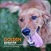 Golden Retriever 7 x 7 Mini Wall Calendar 2019: 16 Month Calendar by Mason Landon