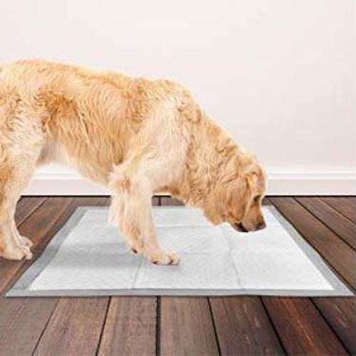 Efaster Puppy Training Spray,Dog Potty Trainer,Pet Corrector Spray,Training Spray Potty Aid Dog Puppy Liquid Cat Positioning Induction Fluid,Guide Pet to Pee at Fixed Spot,Scientific Formula (2 Pcs)