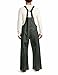 Carhartt Men's Surrey Bib Overall