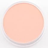 PanPastel Ultra Soft Artist Pastel, Red Iron Oxide Tint