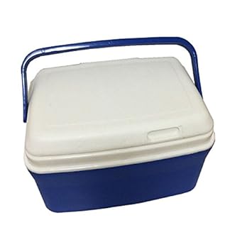 wowgood @ Mini nevera Picnic Coche Nevera portátil comestibles ...