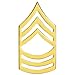 Medals of America US Army Master Sergeant E8 MSG Rank Brass Metal Sold as Pair Gold
