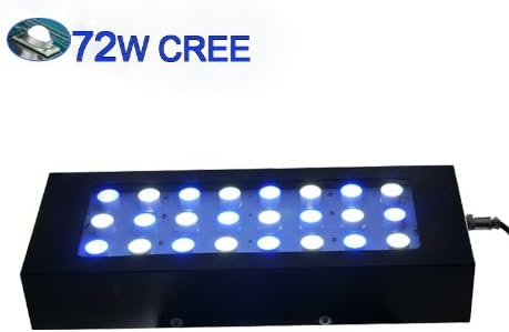 dog food for soft stool