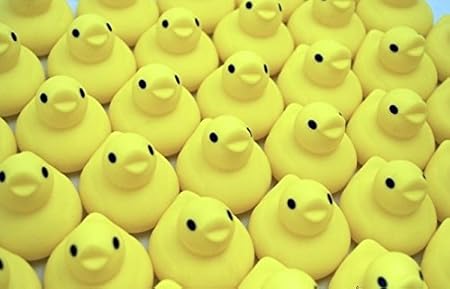 Amazon 完全受注生産品 まさかの大量生産 あひるまみれ羽 お風呂用おもちゃ おもちゃ