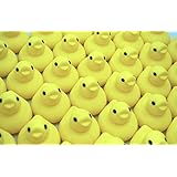 【完全受注生産品!まさかの大量生産!】あひるまみれ50000羽