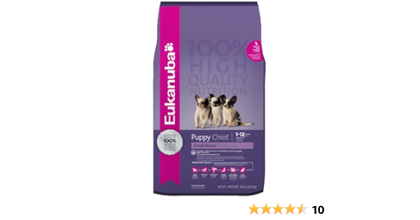 eukanuba amazon