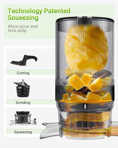 Juicer Machine, Cold Press Juicer with 5.8" Large Feed Chute, 300W Masticating Slow Juicer with High Juice Yield, Juice Maker for Fruits and Veggies, Easy to Clean, BPA-Free, Black