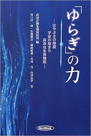 ゆらぎ の力 はやぶさの帰還 宇宙の始まり 高次な生命機能 Amazon Com Books