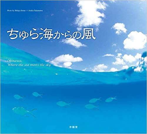 ちゅら海からの風 大型本 – 2010/3/1の表紙