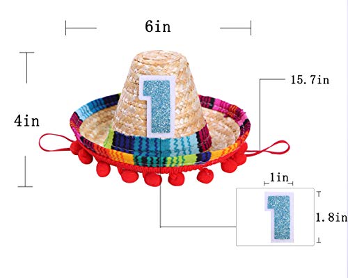 Mini Sombrero Hats for 1st Birthday - Fiesta Cupcake Toppers for Mexican Party Decorations, First Birthday Hat for Uno Party, Fiesta Party Supplies (Mini Sombrero Hats)