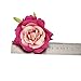 Kewl Fashion Women's Bohemia Rose Flowers Hairpin Hair Clip Flower Brooch (Colorful)